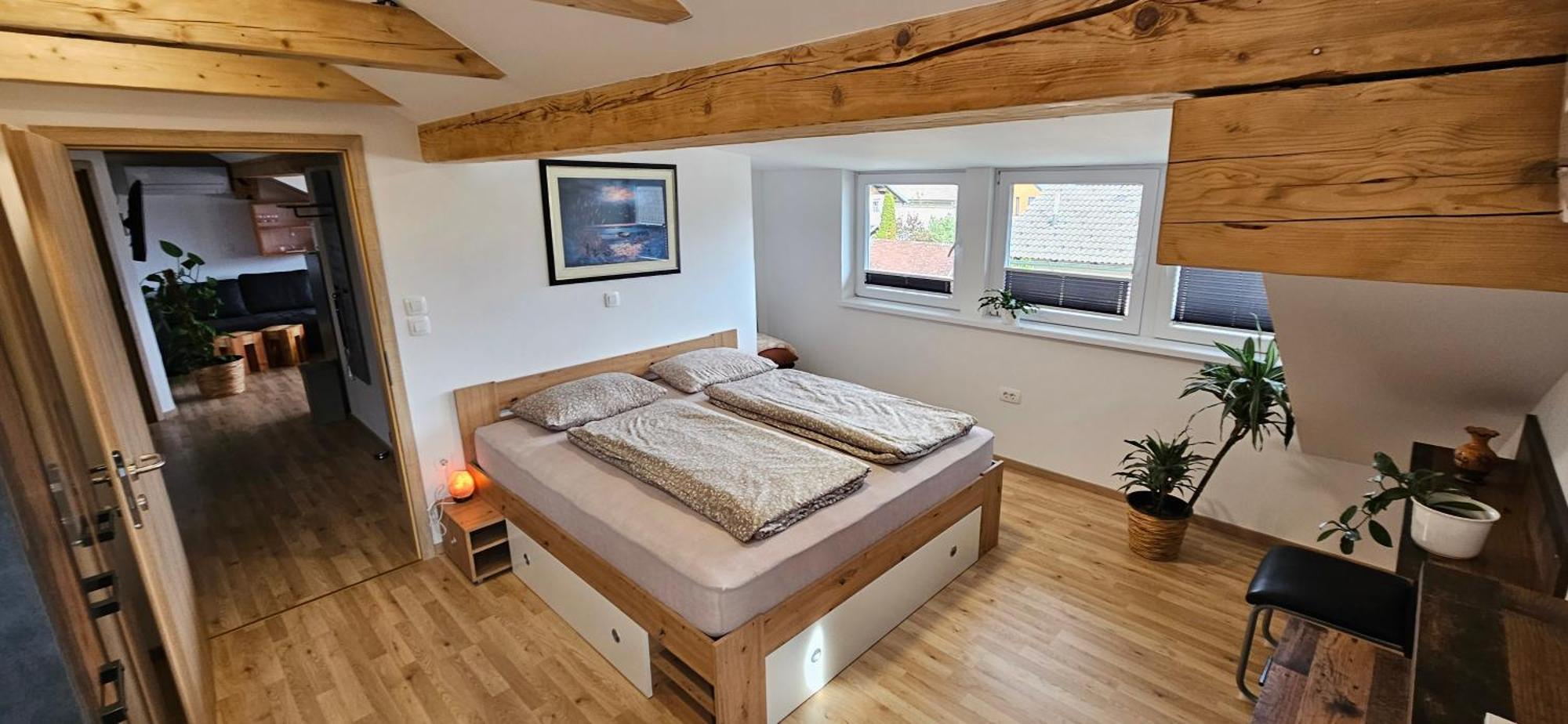 Apartma Ajja Šenčur Bagian luar foto