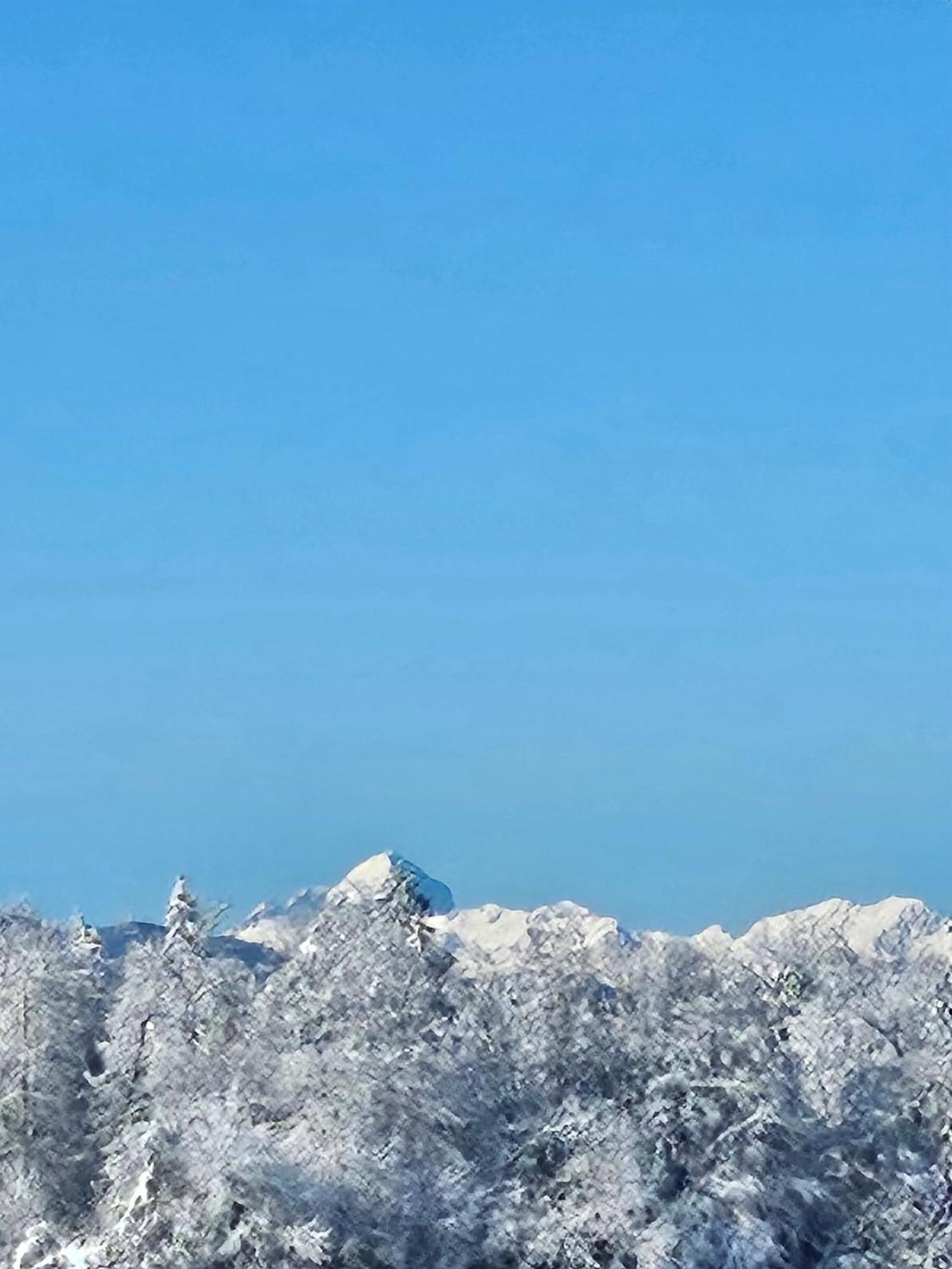 Apartma Ajja Šenčur Bagian luar foto